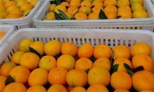 铝合金零部件国产替代机遇 20Kaiyun 开云22汽车零部件行业发展趋势及现状分析(图2)