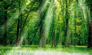 铝合金零部件国产替代机遇 20Kaiyun 开云22汽车零部件行业发展趋势及现状分析(图6)