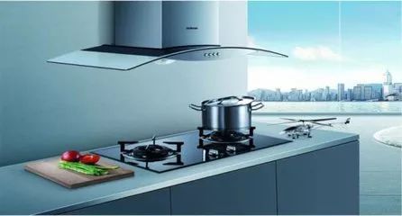 中国唯一的“老板”！23岁当村长创业巨亏6000万开云体育 开云官网仅用3年东山再起如今公司市值近500亿他是如何做到的？(图6)