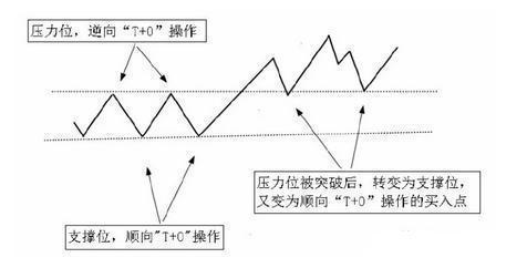 开云体育 Kaiyun.com 官网入口北大一女博士说破股市：长期持有一只反复做T多次反复验证(图5)