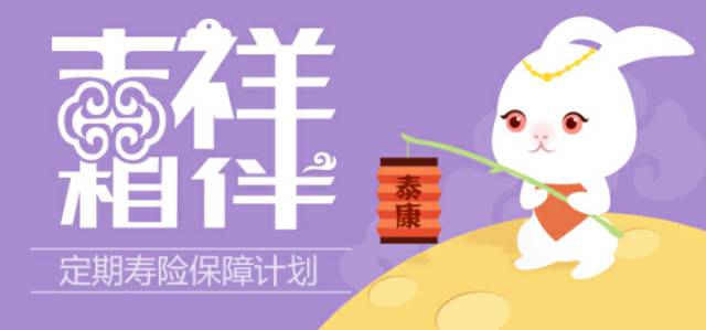 泰康产品一览表 总有一款适合你（2017版Kaiyun 开云体育）(图4)