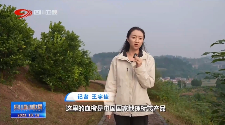 聚焦高质量发展 四川各地成开云体育 Kaiyun.com 官网入口效新干劲足