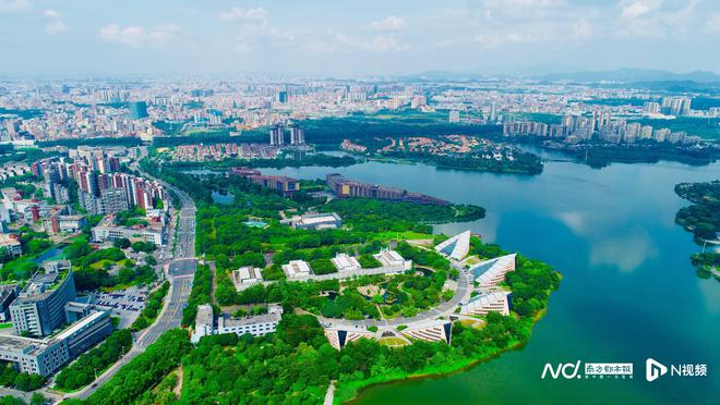 开云APP 开云官网入口从1“城”52村看东莞的城市生活“带”动力(图1)